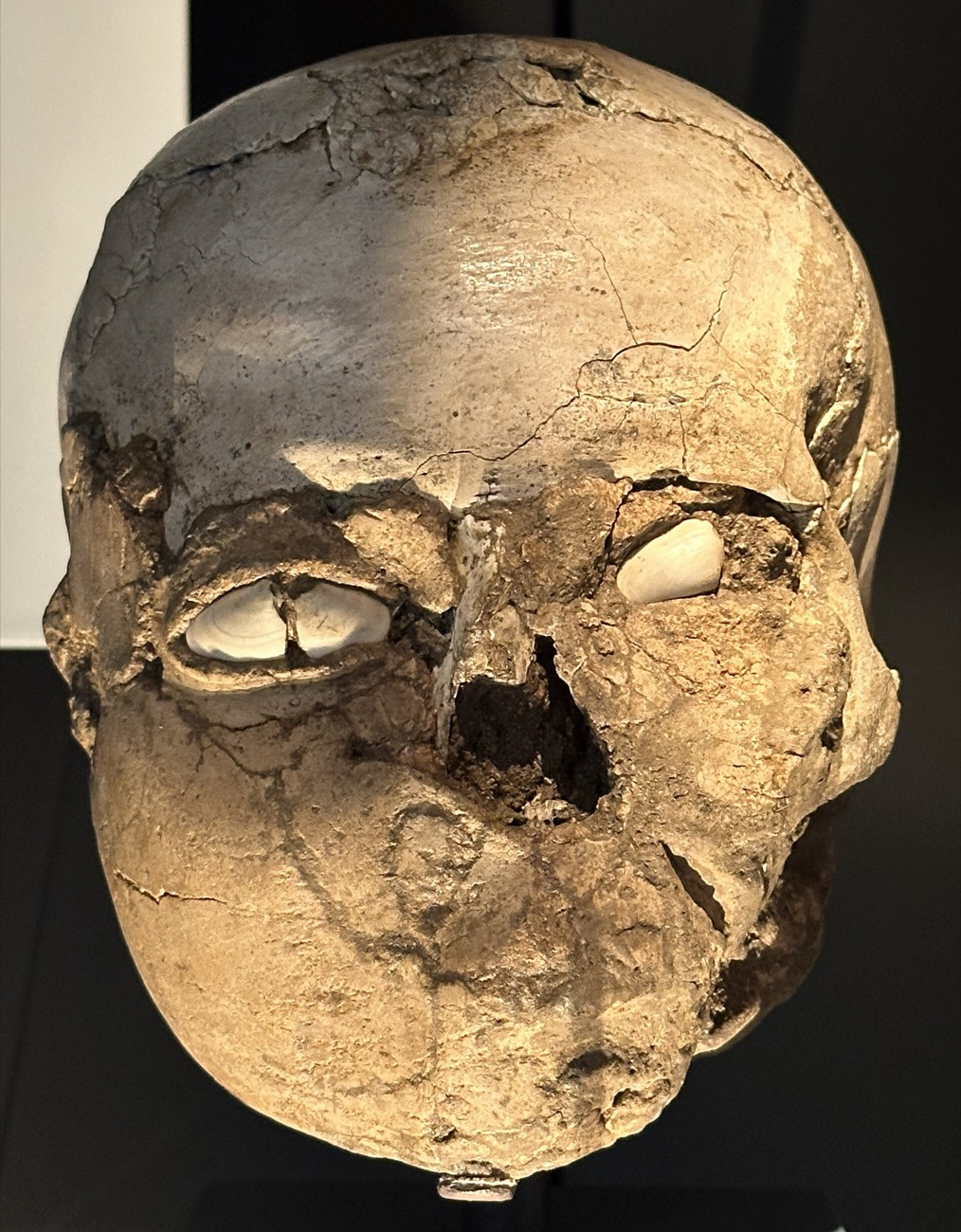 Plastered skull from Jericho, c. 8000 BC. British Museum. Photograph CC BY 4.0.